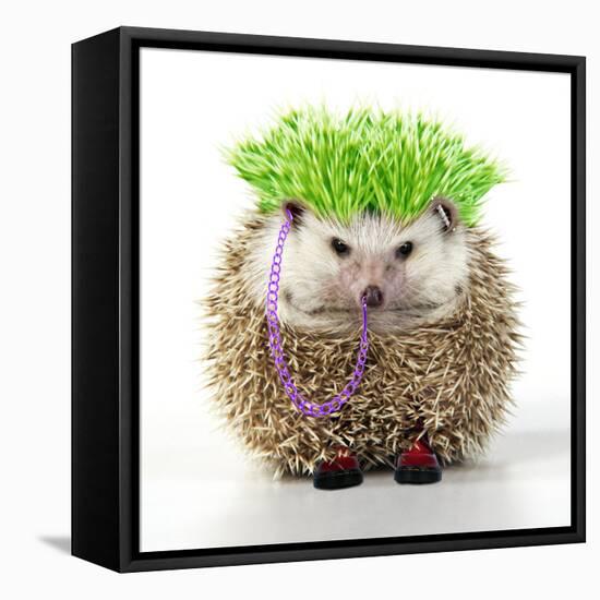 Punk 'Boy' Hedgehog-null-Framed Premier Image Canvas