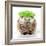 Punk 'Boy' Hedgehog-null-Framed Photographic Print