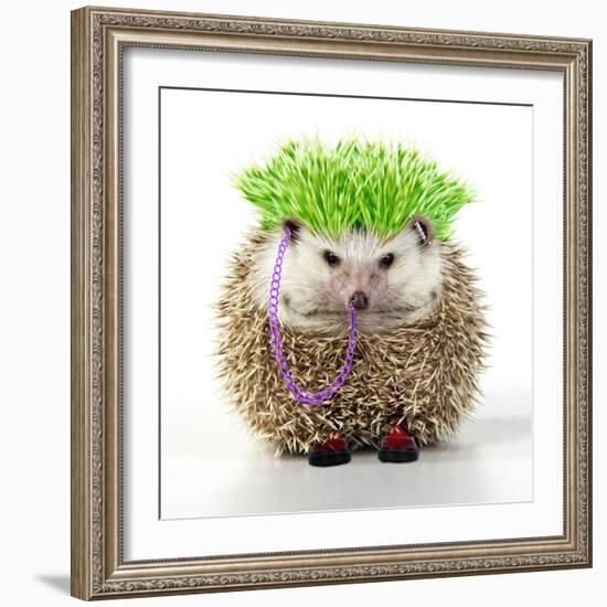 Punk 'Boy' Hedgehog-null-Framed Photographic Print