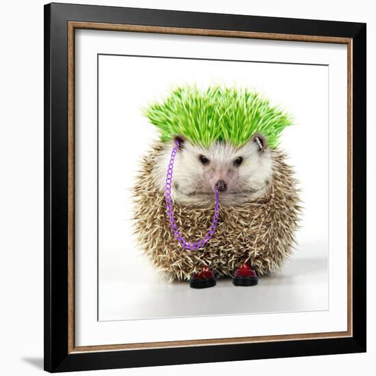 Punk 'Boy' Hedgehog-null-Framed Photographic Print