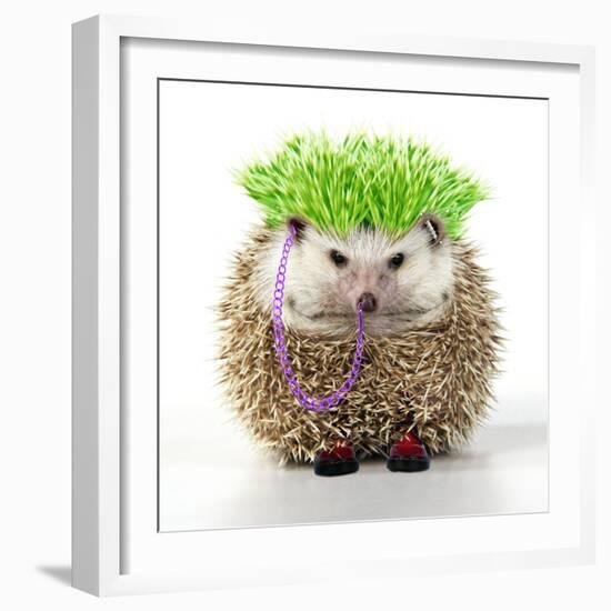 Punk 'Boy' Hedgehog-null-Framed Photographic Print