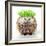 Punk 'Boy' Hedgehog-null-Framed Photographic Print