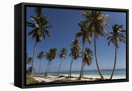 Punta Cana, Dominican Republic, West Indies, Caribbean, Central America-Angelo Cavalli-Framed Premier Image Canvas