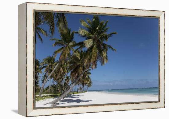 Punta Cana, Dominican Republic, West Indies, Caribbean, Central America-Angelo Cavalli-Framed Premier Image Canvas