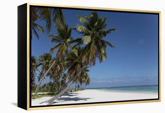 Punta Cana, Dominican Republic, West Indies, Caribbean, Central America-Angelo Cavalli-Framed Premier Image Canvas