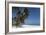 Punta Cana, Dominican Republic, West Indies, Caribbean, Central America-Angelo Cavalli-Framed Photographic Print