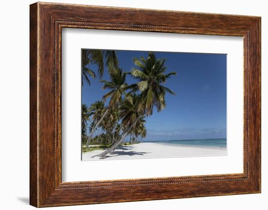 Punta Cana, Dominican Republic, West Indies, Caribbean, Central America-Angelo Cavalli-Framed Photographic Print