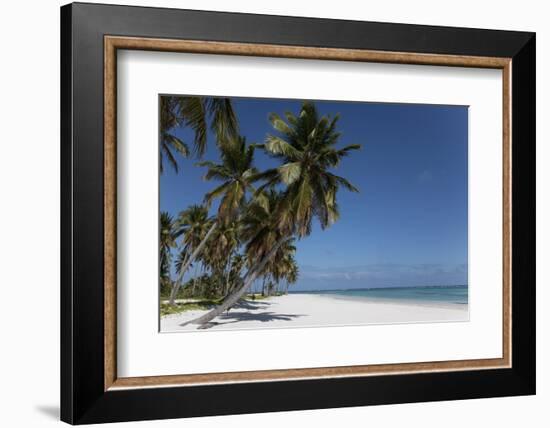 Punta Cana, Dominican Republic, West Indies, Caribbean, Central America-Angelo Cavalli-Framed Photographic Print