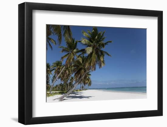 Punta Cana, Dominican Republic, West Indies, Caribbean, Central America-Angelo Cavalli-Framed Photographic Print