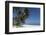 Punta Cana, Dominican Republic, West Indies, Caribbean, Central America-Angelo Cavalli-Framed Photographic Print