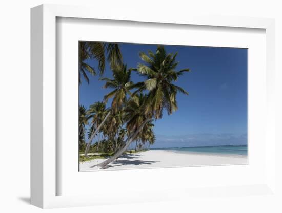 Punta Cana, Dominican Republic, West Indies, Caribbean, Central America-Angelo Cavalli-Framed Photographic Print