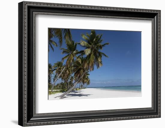 Punta Cana, Dominican Republic, West Indies, Caribbean, Central America-Angelo Cavalli-Framed Photographic Print