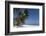 Punta Cana, Dominican Republic, West Indies, Caribbean, Central America-Angelo Cavalli-Framed Photographic Print