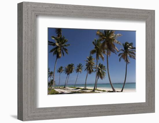 Punta Cana, Dominican Republic, West Indies, Caribbean, Central America-Angelo Cavalli-Framed Photographic Print