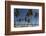 Punta Cana, Dominican Republic, West Indies, Caribbean, Central America-Angelo Cavalli-Framed Photographic Print