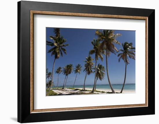 Punta Cana, Dominican Republic, West Indies, Caribbean, Central America-Angelo Cavalli-Framed Photographic Print