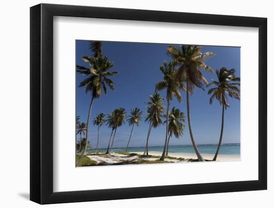 Punta Cana, Dominican Republic, West Indies, Caribbean, Central America-Angelo Cavalli-Framed Photographic Print