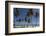 Punta Cana, Dominican Republic, West Indies, Caribbean, Central America-Angelo Cavalli-Framed Photographic Print