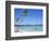 Punta Cana, Dominican Republic, West Indies, Central America-J Lightfoot-Framed Photographic Print