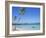 Punta Cana, Dominican Republic, West Indies, Central America-J Lightfoot-Framed Photographic Print