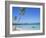 Punta Cana, Dominican Republic, West Indies, Central America-J Lightfoot-Framed Photographic Print