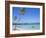 Punta Cana, Dominican Republic, West Indies, Central America-J Lightfoot-Framed Photographic Print