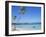 Punta Cana, Dominican Republic, West Indies, Central America-J Lightfoot-Framed Photographic Print