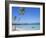 Punta Cana, Dominican Republic, West Indies, Central America-J Lightfoot-Framed Photographic Print