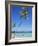 Punta Cana, Dominican Republic, West Indies, Central America-J Lightfoot-Framed Photographic Print