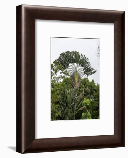 Puntarenas, Costa Rica-Peter Hawkins-Framed Photographic Print