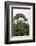 Puntarenas, Costa Rica-Peter Hawkins-Framed Photographic Print