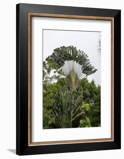 Puntarenas, Costa Rica-Peter Hawkins-Framed Photographic Print
