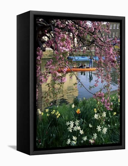 Punting in Spring, Cambridge, Cambridgeshire, England, United Kingdom-Adam Woolfitt-Framed Premier Image Canvas