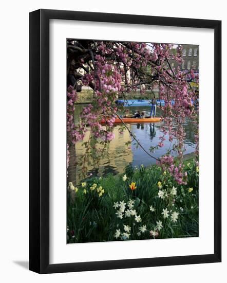 Punting in Spring, Cambridge, Cambridgeshire, England, United Kingdom-Adam Woolfitt-Framed Photographic Print