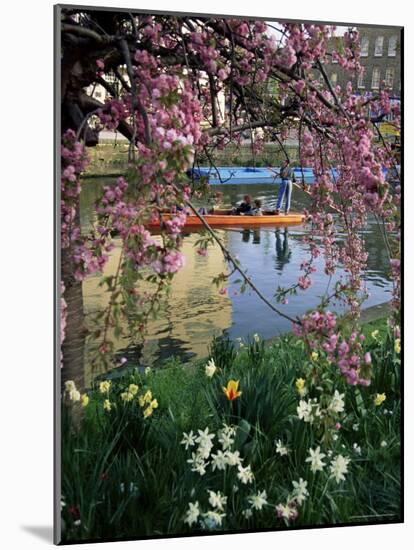 Punting in Spring, Cambridge, Cambridgeshire, England, United Kingdom-Adam Woolfitt-Mounted Photographic Print