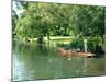 Punting on the Avon River, Christchurch, New Zealand-William Sutton-Mounted Photographic Print