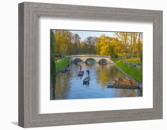 Punting on the Backs, River Cam, Cambridge, Cambridgeshire, England, United Kingdom, Europe-Alan Copson-Framed Photographic Print