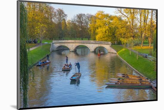 Punting on the Backs, River Cam, Cambridge, Cambridgeshire, England, United Kingdom, Europe-Alan Copson-Mounted Photographic Print