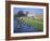 Punting on the Backs, River Cam, Clare College, Cambridge, Cambridgeshire, England, UK-David Hunter-Framed Photographic Print