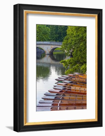 Punts on the River Cam, the Backs, Cambridge, Cambridgeshire, England, United Kingdom, Europe-Alan Copson-Framed Photographic Print