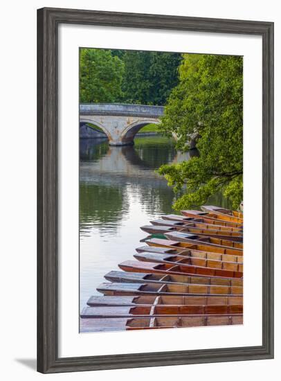 Punts on the River Cam, the Backs, Cambridge, Cambridgeshire, England, United Kingdom, Europe-Alan Copson-Framed Photographic Print