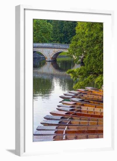 Punts on the River Cam, the Backs, Cambridge, Cambridgeshire, England, United Kingdom, Europe-Alan Copson-Framed Photographic Print