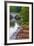 Punts on the River Cam, the Backs, Cambridge, Cambridgeshire, England, United Kingdom, Europe-Alan Copson-Framed Photographic Print