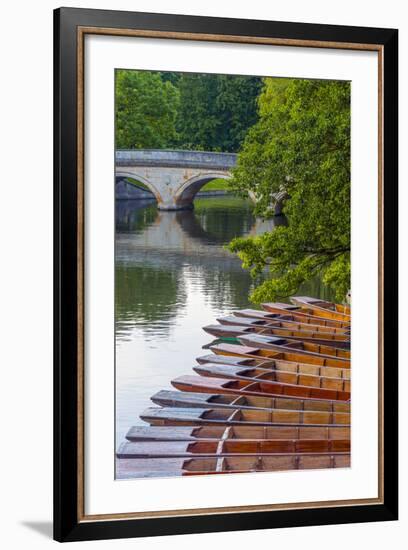 Punts on the River Cam, the Backs, Cambridge, Cambridgeshire, England, United Kingdom, Europe-Alan Copson-Framed Photographic Print