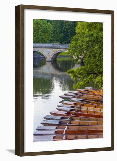 Punts on the River Cam, the Backs, Cambridge, Cambridgeshire, England, United Kingdom, Europe-Alan Copson-Framed Photographic Print