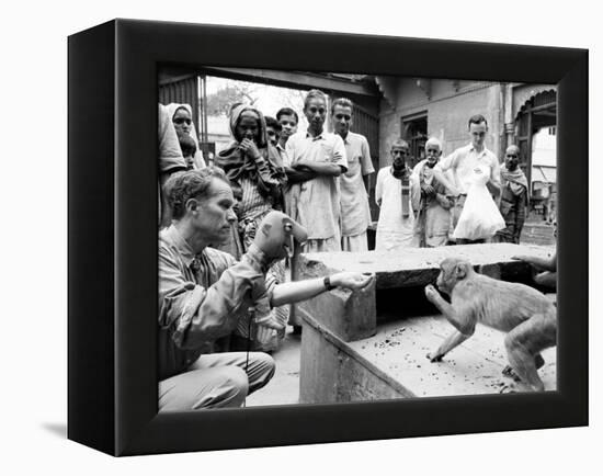 Puppeteer Bil Baird playing with a monkey, March 1962.-James Burke-Framed Premier Image Canvas