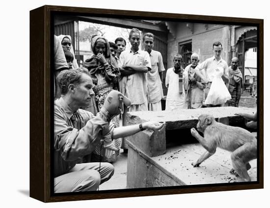 Puppeteer Bil Baird playing with a monkey, March 1962.-James Burke-Framed Premier Image Canvas