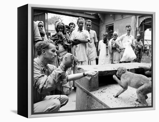 Puppeteer Bil Baird playing with a monkey, March 1962.-James Burke-Framed Premier Image Canvas