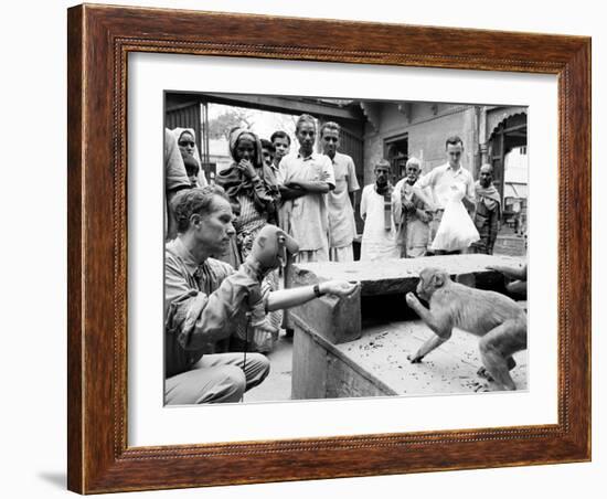 Puppeteer Bil Baird playing with a monkey, March 1962.-James Burke-Framed Premium Photographic Print