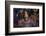 Puppets for sale at night market.-Alison Wright-Framed Photographic Print